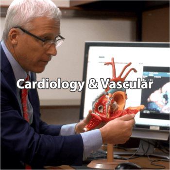 Cardiologist Discussing Heart Treatment with Heart Model on Desk