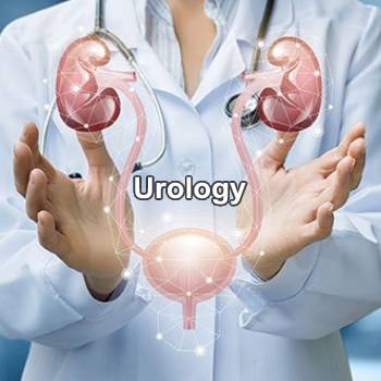 Urologist with hands open to display kidneys and bladder
